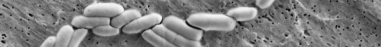 1513314664812429.jpg 1341513309446_.pic.jpg